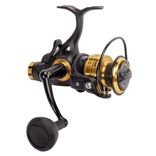 Penn Live Liner Combo